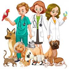 Veterinarios